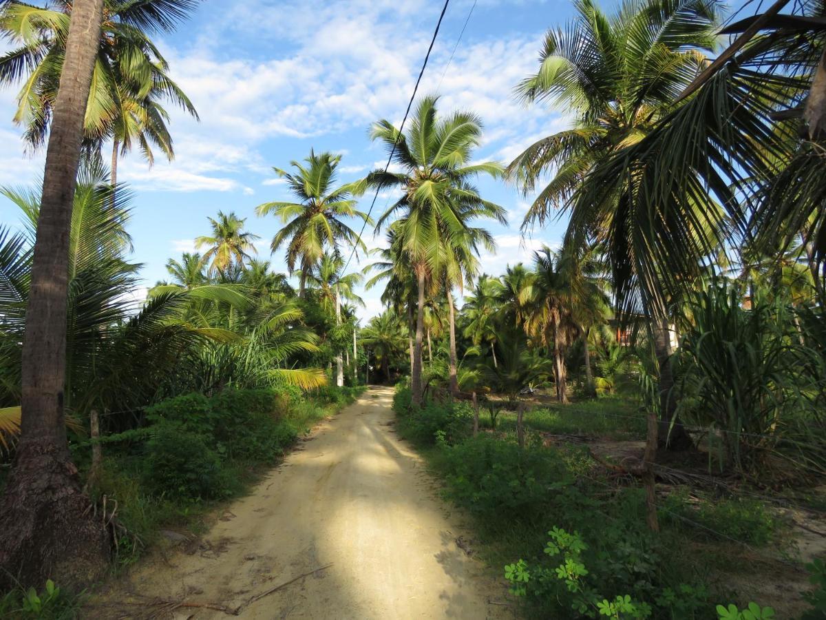 Chill Kite - Pousada Icarai Kite Village Exterior photo